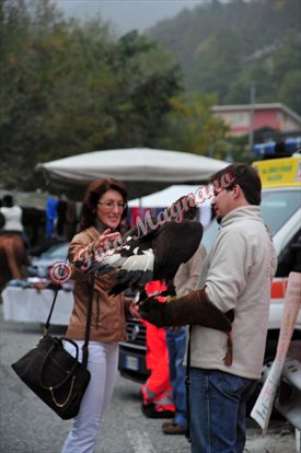 DSC_3649.jpg